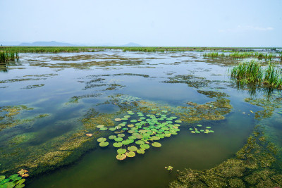 给公园里的植物浇水。