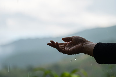雨水