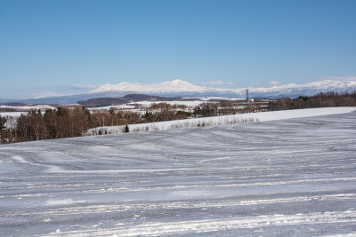 在阳光明媚的冬日里，覆盖着融雪剂的田野和雪山