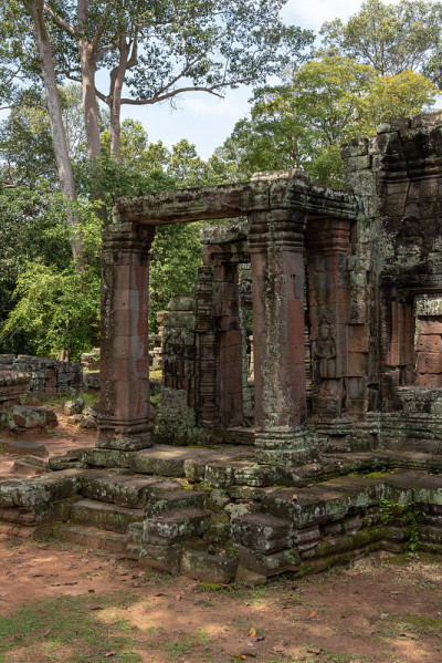 Banteay Kdei废墟上的树柱