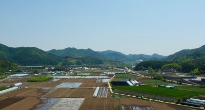 韩国清州的乡村景观