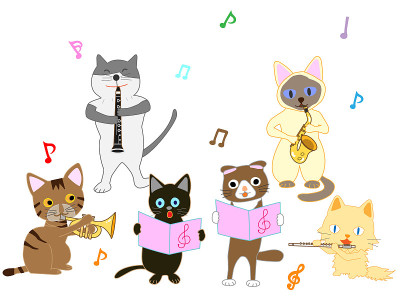 音乐的猫