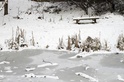 冬天的场景池塘上结了冰，长凳上覆盖着雪