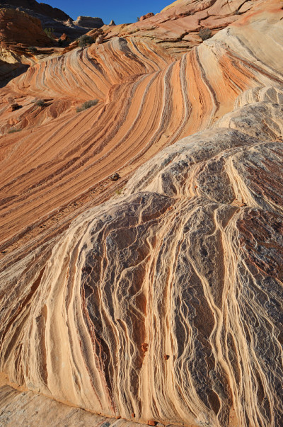 狼驼峰