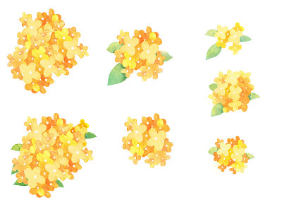 Gold可爱。