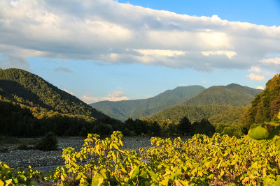 山的风景。峡谷中，山河在悬崖峭壁间流淌，自然秀美。