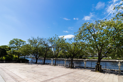 Tennoz的河流景观