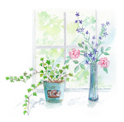窗户和室内植物的水彩插图。