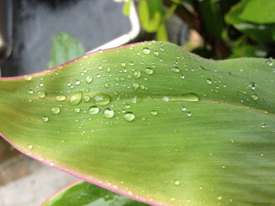 滴水