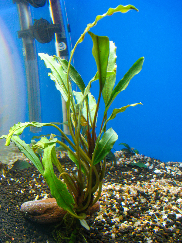 水族馆