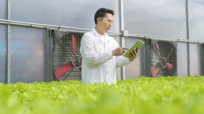 科学家工作在水培温室农场，清洁食品和食品科学概念