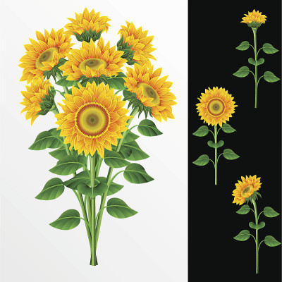 花束