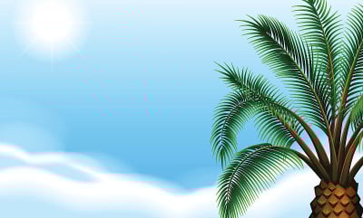 Plam计划