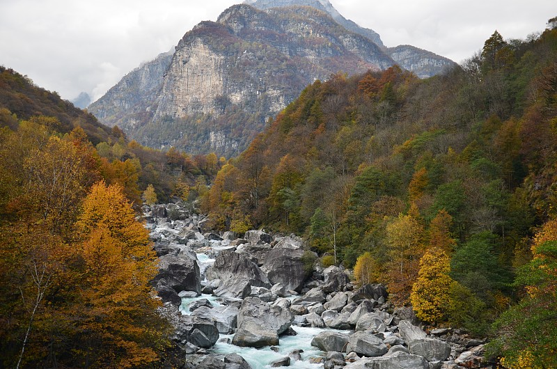 瑞士阿尔卑斯河谷有五颜六色的树木和树叶，背景山、提契诺谷、马吉亚谷