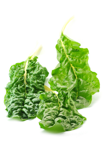 生菜