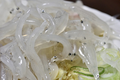 银鱼