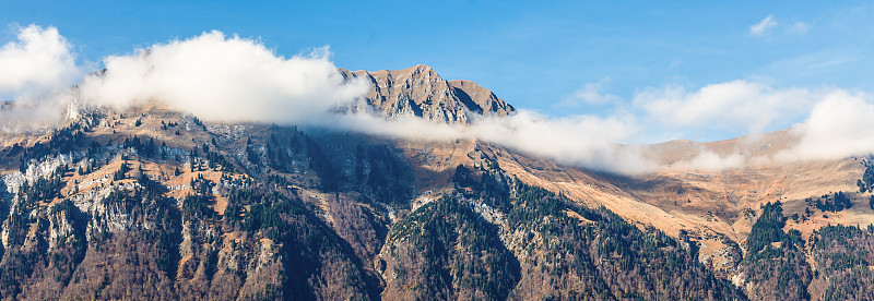 背景是阿尔卑斯山