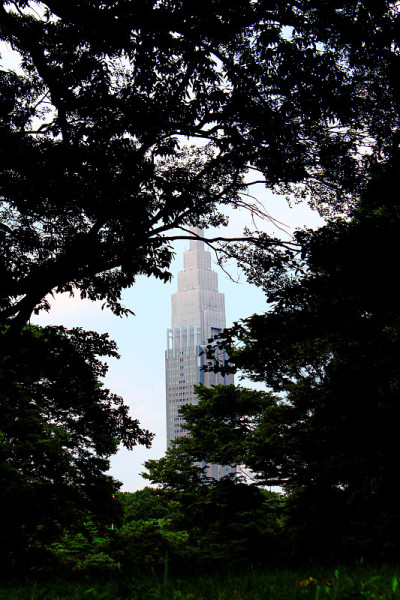 东京代代木公园