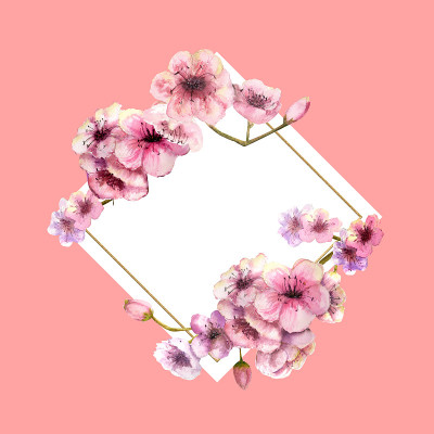 樱花，樱花枝与粉红色的花在黄金框架与美丽的粉红色背景。春天的形象。框架。水彩插图。设计元素。钻石形的