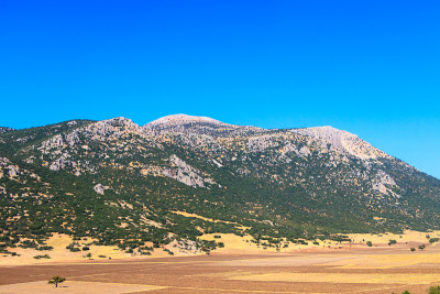 山
