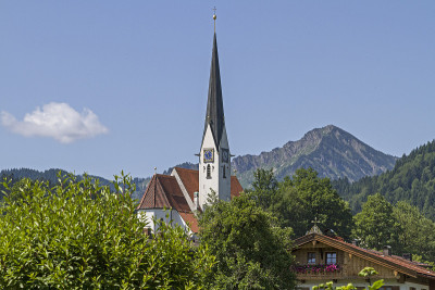坏Wiessee