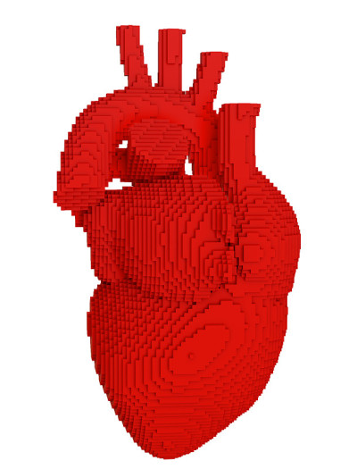 3d打印心脏分离物