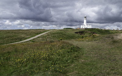 灯塔下沉重的天空和野花和草的前景，Flamborough，英国。