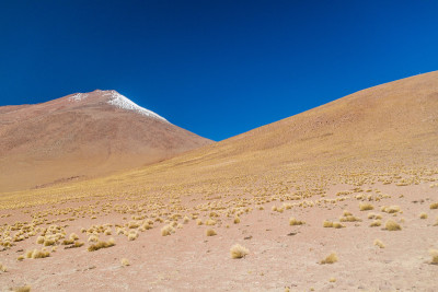 玻利维亚高原的光秃秃的风景