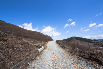 山燃烧