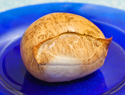 烟scamorza