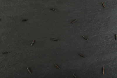 Raw Black Wild Rice on Dark Stone Background