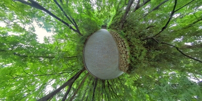 小星球360全景植物园和森林n