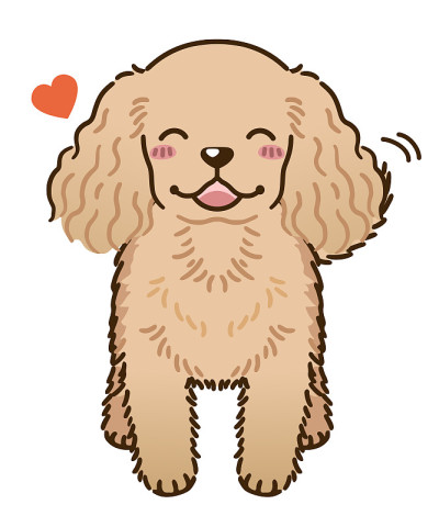 美国可卡犬(红色)
