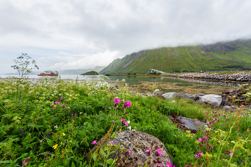 美丽的斯堪的纳维亚风景与大西洋路(Atlanterhavsvegen)，草地，山脉和峡湾。罗弗敦群岛