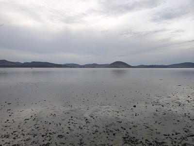 拉雷多海岸视图
