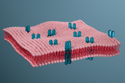 细胞膜与生物学，生物学概念，3d渲染。