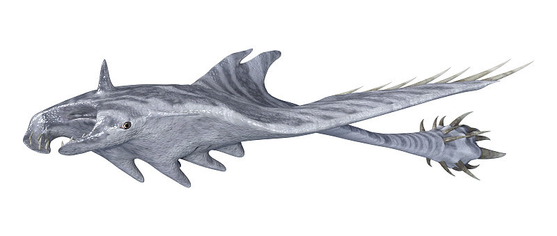 3D插图魔鬼射线在白色