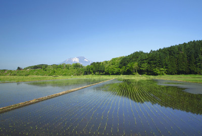 岩手山和田园景观