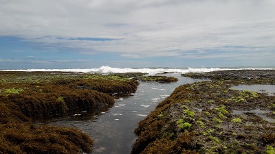 印度尼西亚Sukabumi, Minajaya海滩上的岩石、水和海浪的照片