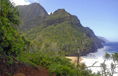 夏威夷考艾岛崎岖的海岸线和悬崖