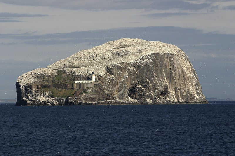 Bass Rock，苏格兰