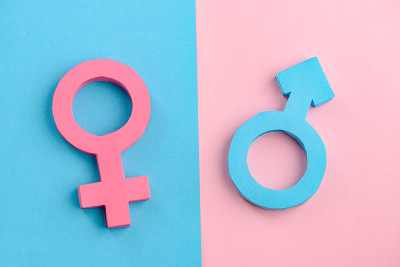 女性和男性的性别标志用纸制成
