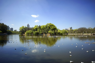 昆明湖城市景观