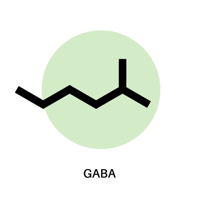 GABA公式图标