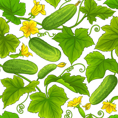 cucumber plant pattern