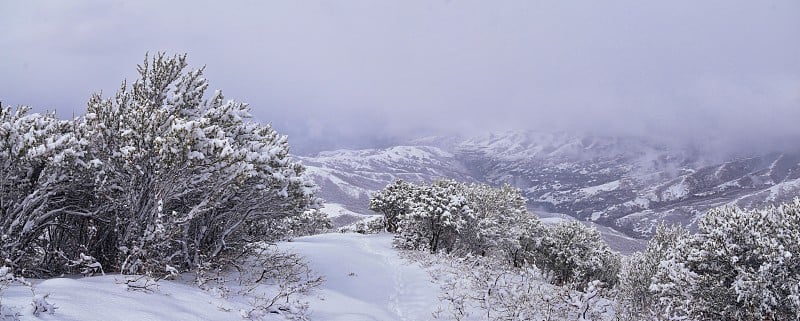 在犹他州盐湖城，通过沃萨奇前落基山脉的博纳维尔海岸线步道，小黑峰徒步步道可以看到冬天的雪景。美国。