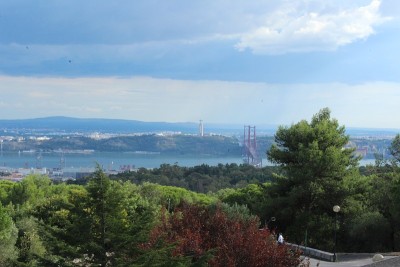 孟山都全景镜