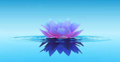睡莲抽象幻想背景