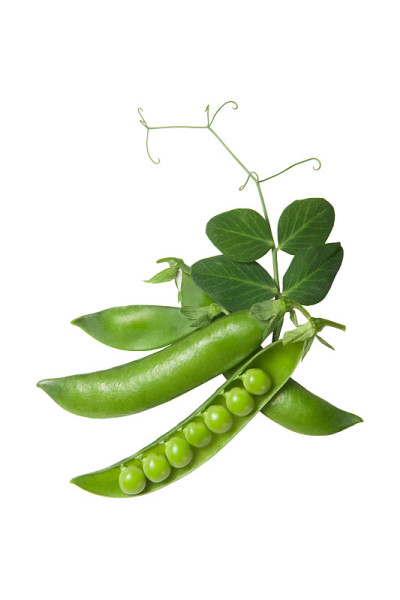 新鲜的绿色豌豆孤立在白色背景上