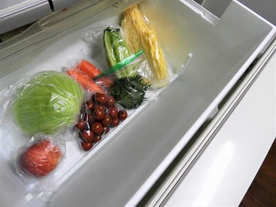 refrigerator1